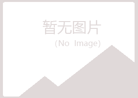 盐池县埋没能源有限公司